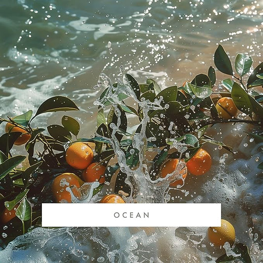 ScentAir Whisper Home Monthly Plug-in Refill, Fragrance Cartridge for Home and Office, Ocean