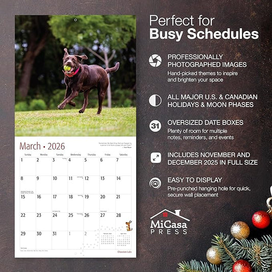 MICASA PRESS Chocolate Labs 2026 Wall Calendar 12 Month | 12" x 24" Open | Thick & Sturdy Paper | Holiday Gift | Cute Labrador Retriever Puppy Dog Calendar 2026