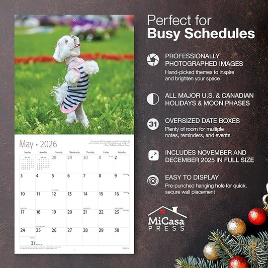 MICASA PRESS Maltese 2026 Wall Calendar 12 Month | 12" x 24" Open | Thick & Sturdy Paper | Holiday Gift | Cute Puppy Dog Calendar 2026