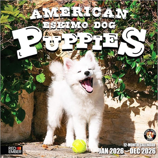 RED EMBER American Eskimo Dog Puppies 2026 Wall Calendar 12 Month | 12" x 24" Open | Thick & Sturdy Paper | Holiday Gift | Cute Puppy Dog Calendar 2026