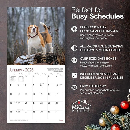 MICASA PRESS Beagles 2026 Wall Calendar 12 Month | 12" x 24" Open | Thick & Sturdy Paper | Holiday Gift | Cute Puppy Dog Calendar 2026