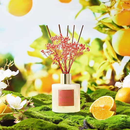 Why scent matters more than decor in small dorm rooms - Dormly