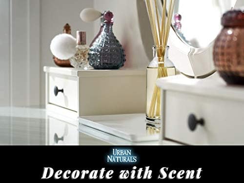 Urban Naturals Cucumber Sea Salt Reed Diffuser Set | Fresh, Crisp Cucumber, Agave Leaves & Sea Salt | Essential Oil Room Scent Kit with Reed Sticks | Made in The USA | A Great Home Gift Idea