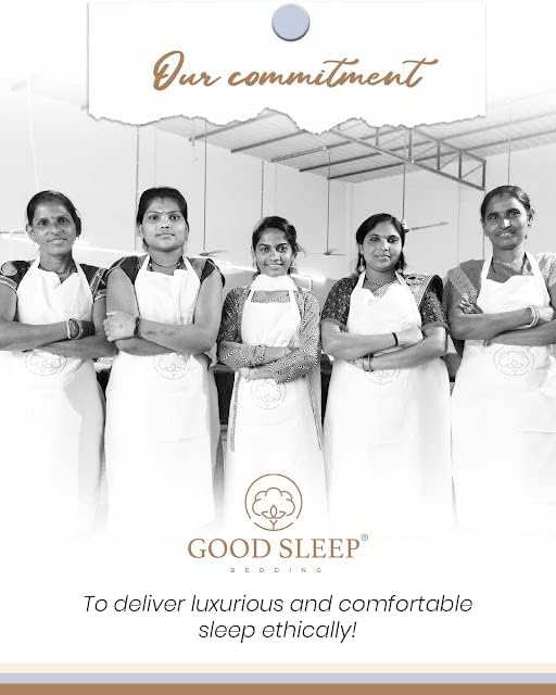 1000 Thread Count Egyptian Cotton Sheets Queen Size, 4 Pc Luxury Sheets Set, Long Staple 100% Cotton Sheets for Queen Size Bed, 16" Deep Pocket Hotel Style Sheets, Sateen Sheets Queen, Light Blue