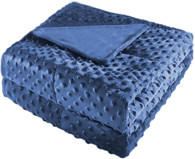 ALANSMA Reversible Weighted Blanket for All Season, Luxury Velvet, Warm and Cool, Adult 20Lb Blue Weighted Blanket, Enjoy Sleeping Anywhere(Blue,60"x80" 20lbs)