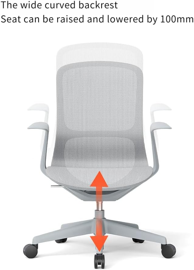 Ergonomic Mesh Office Chair with Lumbar Support, Multicolor Rolling Task Chair, Adjustable Computer Desk Seating for Home Office (Black-Pro)