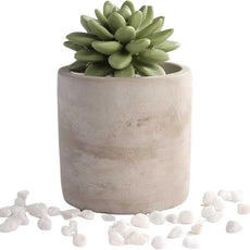 Reed Diffuser Set, 3.38 fl oz/100 ml Succulent Ceramic Fragrance Diffuser Vase Set, Home Fragrance Reed Diffuser for Bathroom Office Living Room Decor (Citrus Verbena)