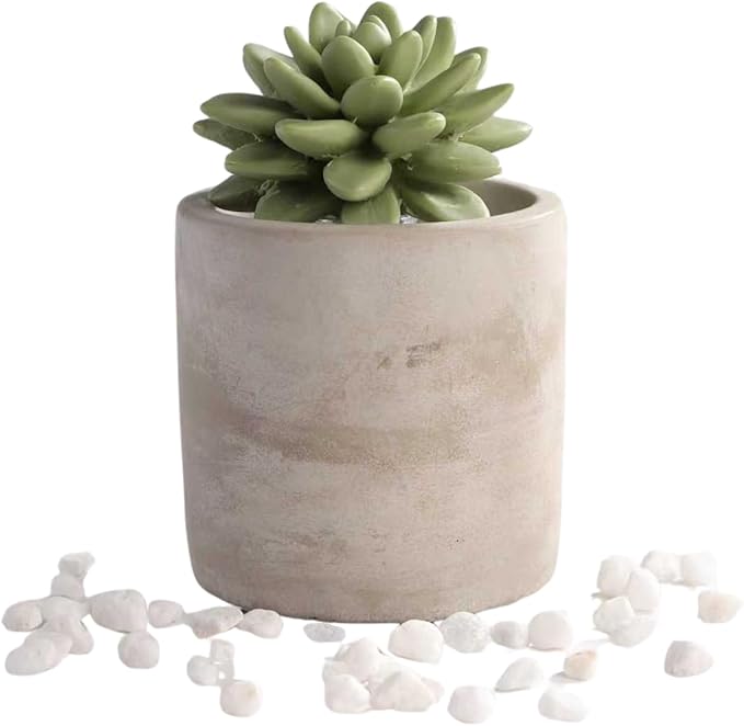 Reed Diffuser Set, 3.38 fl oz/100 ml Succulent Ceramic Fragrance Diffuser Vase Set, Home Fragrance Reed Diffuser for Bathroom Office Living Room Decor (Citrus Verbena)