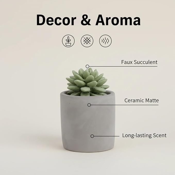 Reed Diffuser Set, Pretty Valley Home Succulent Gypsum Ceramic Fragrance Diffuser Vase Set - Frozen Pear 3.38 fl oz (100 ml), Home Fragrance Reed Diffuser for Bathroom Office Living Room Decor