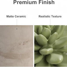 Reed Diffuser Set, 3.38 fl oz/100 ml Succulent Ceramic Fragrance Diffuser Vase Set, Home Fragrance Reed Diffuser for Bathroom Office Living Room Decor (Citrus Verbena)