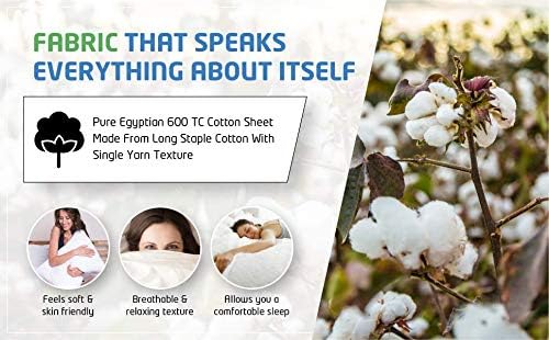 PLUSHY COMFORT Luxury Twin XL Duvet Cover Set - 600 Tc in 100% Egyptian Cotton Silky Single Yarn Fabric, White Plain Color - 3 Piece Set Twin XL Duvet with 2 Pillow Shams