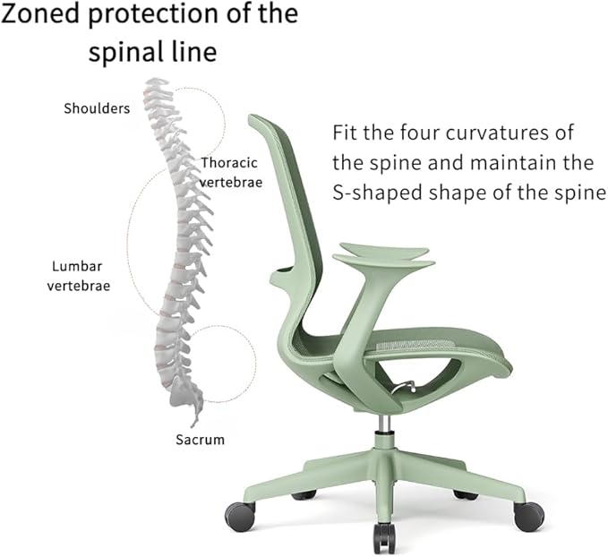 Ergonomic Mesh Office Chair with Lumbar Support, Multicolor Rolling Task Chair, Adjustable Computer Desk Seating for Home Office (Black)