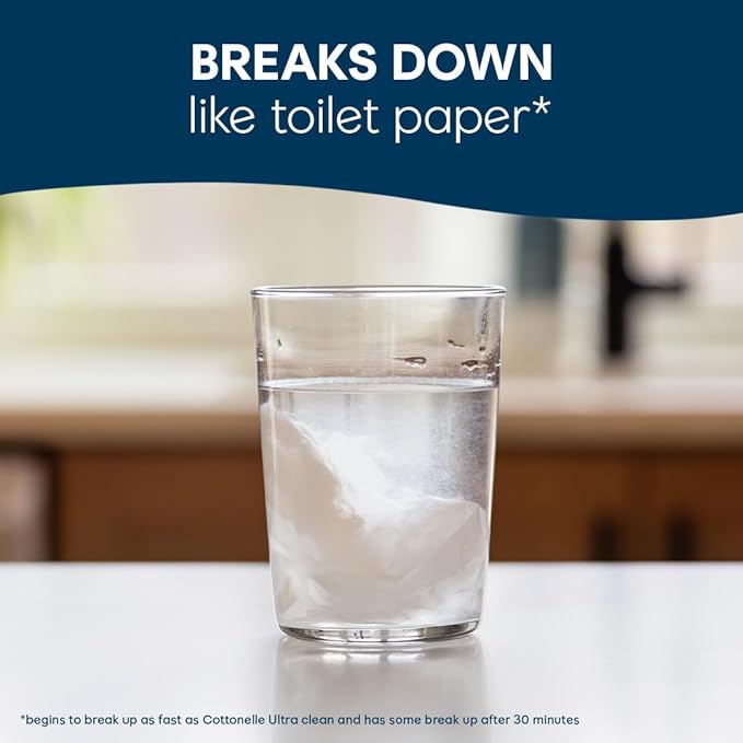 Cottonelle XL Flushable Wet Wipes, Adult Wipes Large, 2 Flip-Top Packs, 45 Wipes Per Pack (90 Total Wipes), Packaging May Vary