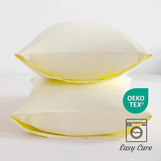NTBAY Queen Pillow Cases Set of 2, 2 Pack Brushed Microfiber 20x30 Pillow Cases, Soft, Wrinkle, Fade, Stain Resistant Ivory Pillow Cases with Envelope Closure, 20x30 Inches, Ivory