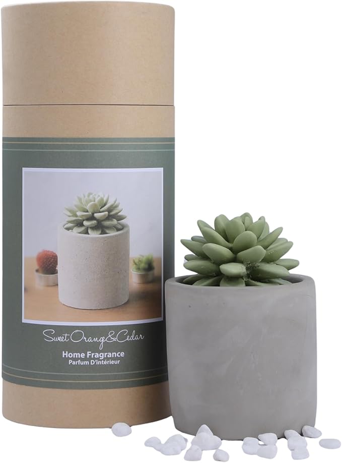 Reed Diffuser Set, 3.38 fl oz/100 ml Succulent Ceramic Fragrance Diffuser Vase Set, Home Fragrance Reed Diffuser for Bathroom Office Living Room Decor (Sweet Orange Cedar)