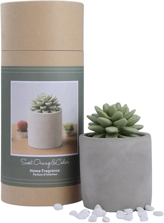 Reed Diffuser Set, 3.38 fl oz/100 ml Succulent Ceramic Fragrance Diffuser Vase Set, Home Fragrance Reed Diffuser for Bathroom Office Living Room Decor (Sweet Orange Cedar)