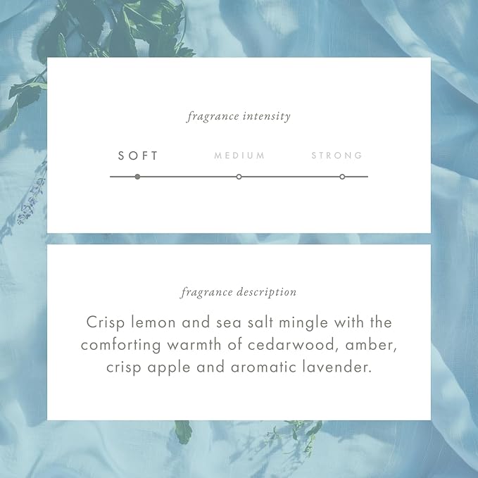 ScentAir Whisper Home Monthly Plug-in Refill, Fragrance Cartridge for Home and Office, Amazon Exclusive, Pure Linen