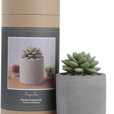 Reed Diffuser Set, Pretty Valley Home Succulent Gypsum Ceramic Fragrance Diffuser Vase Set - Frozen Pear 3.38 fl oz (100 ml), Home Fragrance Reed Diffuser for Bathroom Office Living Room Decor