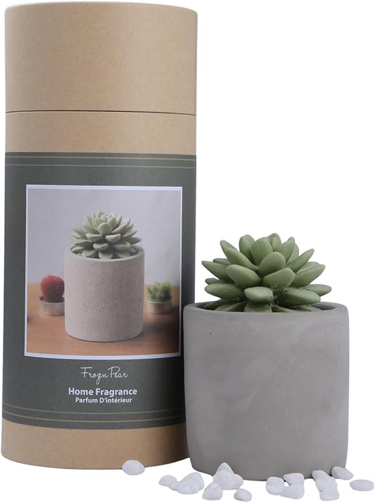 Reed Diffuser Set, Pretty Valley Home Succulent Gypsum Ceramic Fragrance Diffuser Vase Set - Frozen Pear 3.38 fl oz (100 ml), Home Fragrance Reed Diffuser for Bathroom Office Living Room Decor