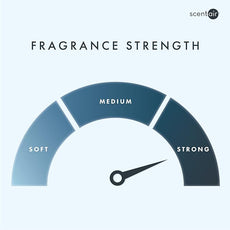 ScentAir Whisper Home Monthly Plug-in Refill, Fragrance Cartridge for Home and Office, White Blossom Tea