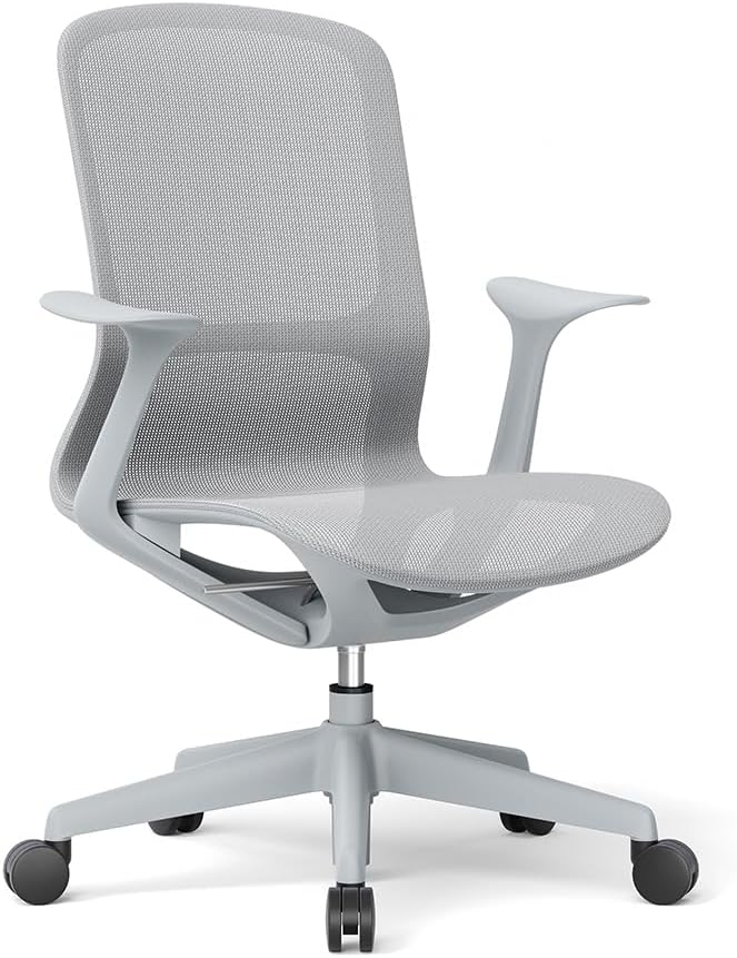 Ergonomic Mesh Office Chair with Lumbar Support, Multicolor Rolling Task Chair, Adjustable Computer Desk Seating for Home Office (Grey)