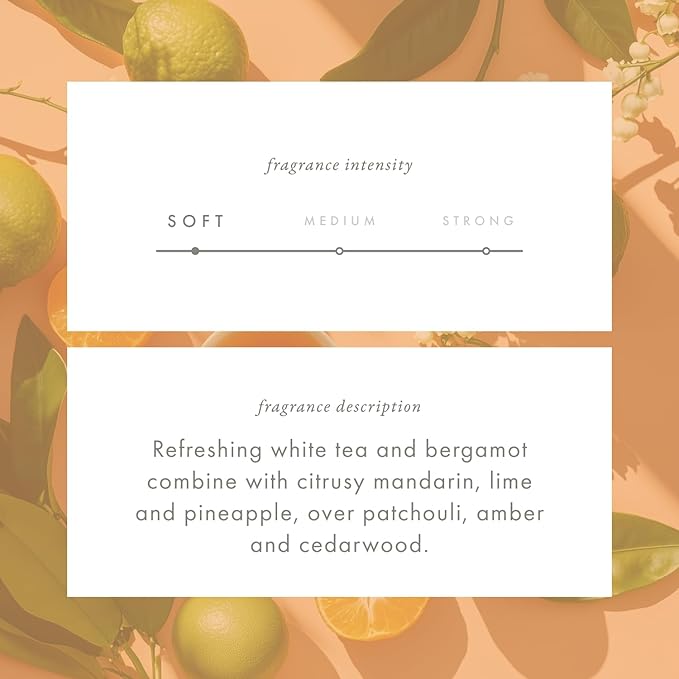 ScentAir Whisper Home Monthly Plug-in Refill, Fragrance Cartridge for Home and Office, Amazon Exclusive, Mandarin Nectar