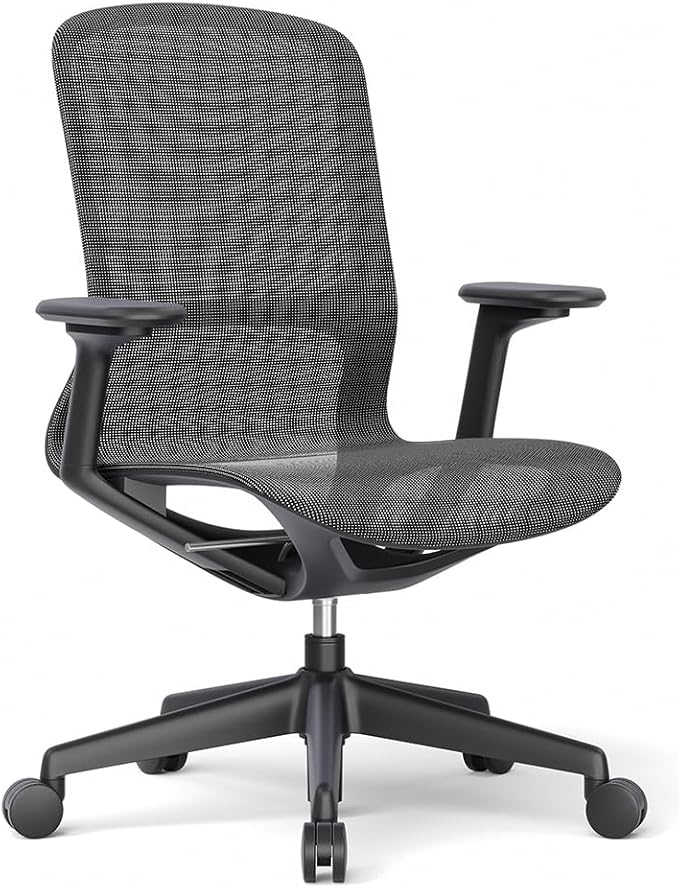 Ergonomic Mesh Office Chair with Lumbar Support, Multicolor Rolling Task Chair, Adjustable Computer Desk Seating for Home Office (Black-Pro)