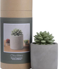 Reed Diffuser Set, 3.38 fl oz/100 ml Succulent Ceramic Fragrance Diffuser Vase Set, Home Fragrance Reed Diffuser for Bathroom Office Living Room Decor (Citrus Verbena)