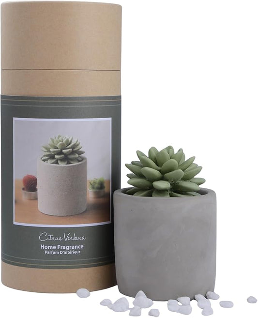 Reed Diffuser Set, 3.38 fl oz/100 ml Succulent Ceramic Fragrance Diffuser Vase Set, Home Fragrance Reed Diffuser for Bathroom Office Living Room Decor (Citrus Verbena)