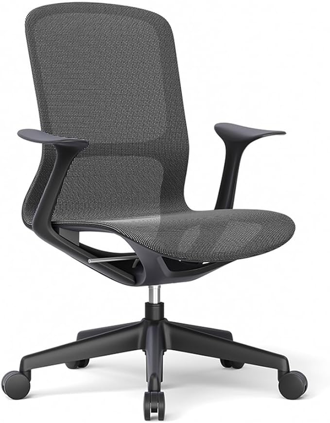 Ergonomic Mesh Office Chair with Lumbar Support, Multicolor Rolling Task Chair, Adjustable Computer Desk Seating for Home Office (Black)