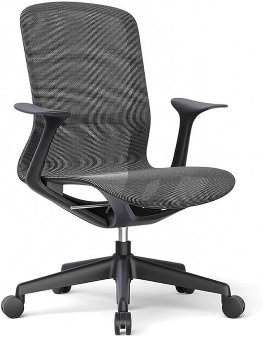 Ergonomic Mesh Office Chair with Lumbar Support, Multicolor Rolling Task Chair, Adjustable Computer Desk Seating for Home Office (Black)
