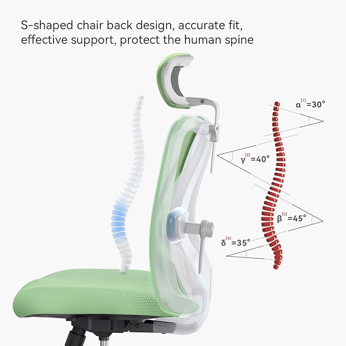 SIHOO M18 Ergonomic Office Chair, Computer Desk Chair with Adjustable Headrest and Lumbar Support, High Back Executive Swivel Chair for Home Office (Light Green)