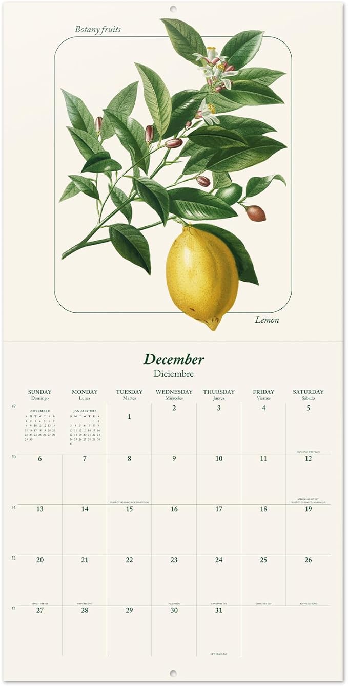 Botanical Wall Calendar 2026 12" x 12" FSC® Plastic Free - Starts Week On Sunday | Family Planner Fruits Calendar 2026