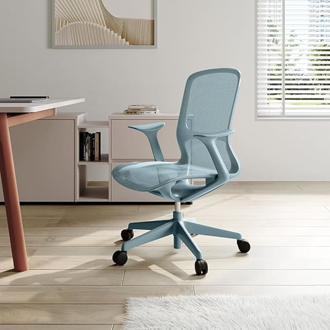 Ergonomic Mesh Office Chair with Lumbar Support, Multicolor Rolling Task Chair, Adjustable Computer Desk Seating for Home Office (Black-Pro)
