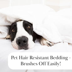 Southshore Fine Living, Inc. Floral Duvet Cover Twin/Twin XL Set - Reversible, Premium Quality Microfiber Twin Bedding Sets, Easy Care - 1 Twin Duvet Cover, 1 Sham - Modern Foliage Grey