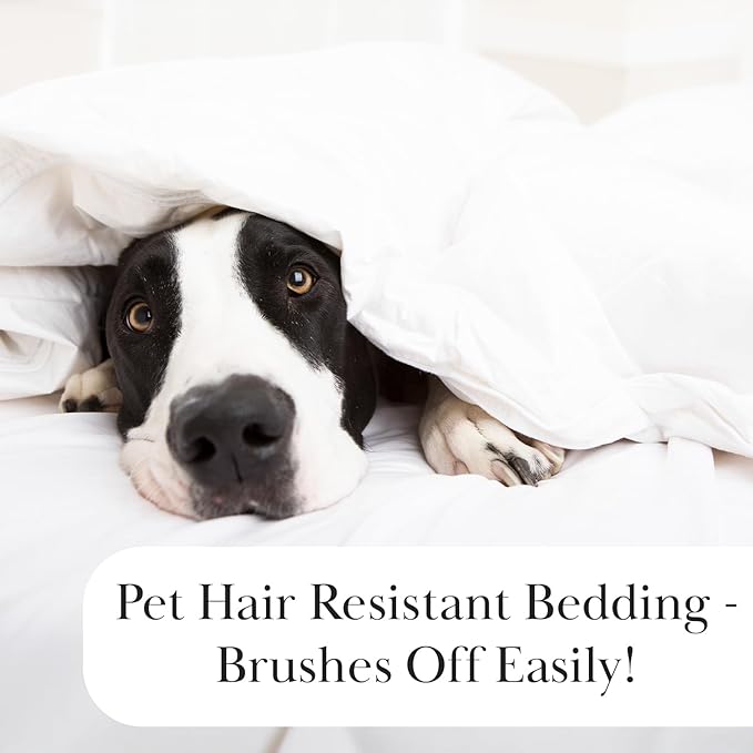 SouthShore FINE LINENS Winter Brush Collection - Premium Quality, Soft, Wrinkle, Fade, & Stain Resistant, Easy Care, Oversized Duvet Cover Set, Full / Queen, Teal