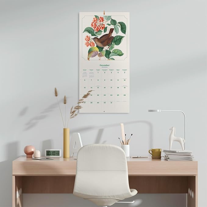 Birds Wall Calendar 2026 12" x 12" FSC® Plastic Free - Starts Week On Sunday | Family Planner Vintage Calendar 2026