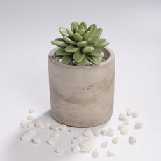 Reed Diffuser Set, Pretty Valley Home Succulent Gypsum Ceramic Fragrance Diffuser Vase Set - Frozen Pear 3.38 fl oz (100 ml), Home Fragrance Reed Diffuser for Bathroom Office Living Room Decor