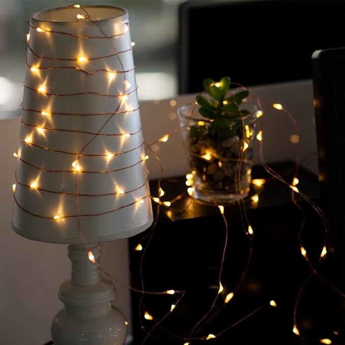 ER CHEN 99ft Led String Lights,300 Led Fairy Starry Lights on 30M Copper Wire String Lights + 12V DC Power Adapter + RF Remote Control for Christmas (Warm White)
