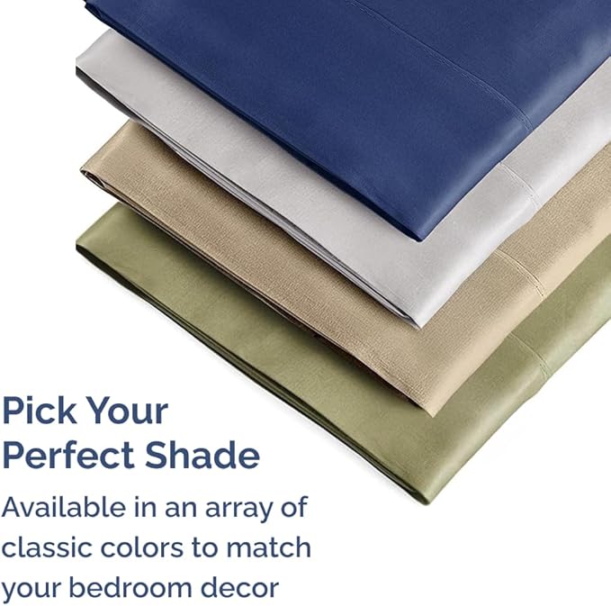 Queen Pillow Cases - 4 Pack - Super Soft Pillowcase Covers - Envelope Enclosure - Hotel Quality Pillow Protectors - Wrinkle Free, Shrink and Stain Resistant - Machine Washable - 20" x 30" (Spa Blue)