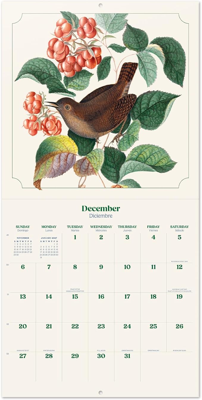 Birds Wall Calendar 2026 12" x 12" FSC® Plastic Free - Starts Week On Sunday | Family Planner Vintage Calendar 2026