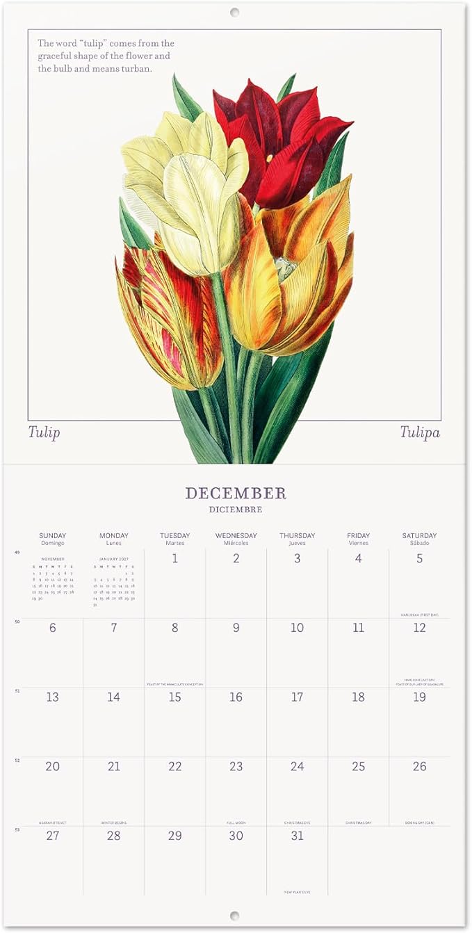 Botanical Wall Calendar 2026 12" x 12" FSC® Plastic Free - Starts Week On Sunday | Family Planner Flowers Calendar 2026