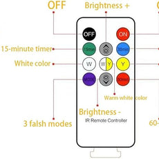 Bird Table Lamp with Remote & Touch Control | 3 Color Temperature & 3-Level Brightness Adjustable Night Light | Rechargeable Cordless Bedside Lamp for Bedroom Office Dorm | Timer & Bird Lover Gifts