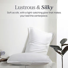 Full Size 4 Piece Bed Sheet Sets, DeepSleep Tech Luxury Bedding Made with 100% Tencel Lyocell - Silky, Lustrous & Gentle on Skin | Frost (2 Sheets, 2 Pillow Cases)