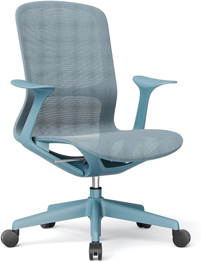 Ergonomic Mesh Office Chair with Lumbar Support, Multicolor Rolling Task Chair, Adjustable Computer Desk Seating for Home Office (Blue)