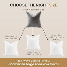 BHZ Throw Pillows 18x18 Euro Pillow Inserts Set of 2, Down Feather Alternative Pillow Inserts, Decorative Soft Large Square White Throw Pillows Insert for Couch Bed Dorm Sofa with Cotton Cover