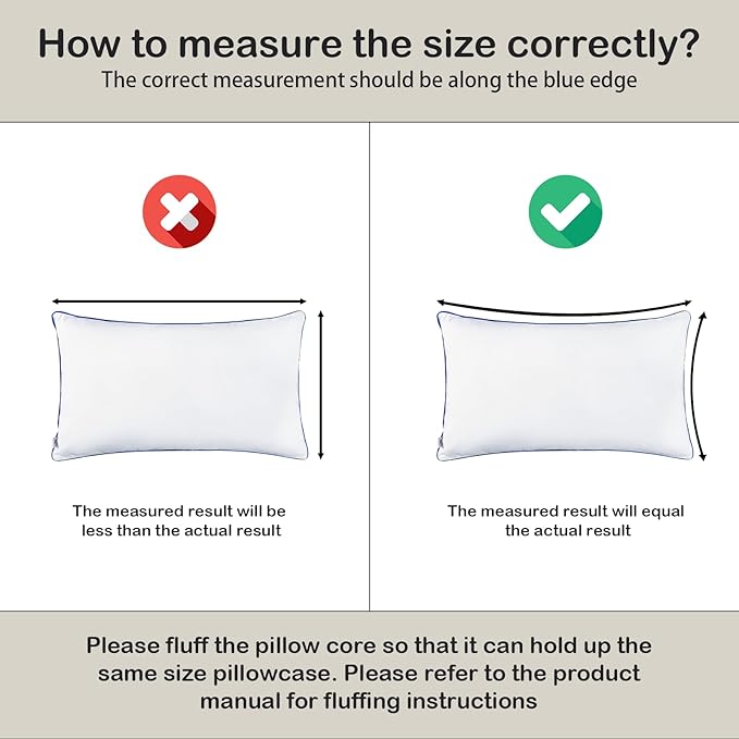 12x20 Pillow Insert Set of 2, Christmas Decorative Lumbar Pillow Inserts, Hypoallergenic Soft Machine Washable Throw Pillows for Couch, for Bed,White