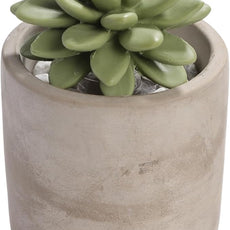 Reed Diffuser Set, Pretty Valley Home Succulent Gypsum Ceramic Fragrance Diffuser Vase Set - Frozen Pear 3.38 fl oz (100 ml), Home Fragrance Reed Diffuser for Bathroom Office Living Room Decor