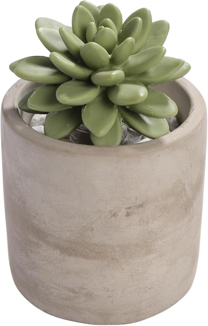 Reed Diffuser Set, Pretty Valley Home Succulent Gypsum Ceramic Fragrance Diffuser Vase Set - Frozen Pear 3.38 fl oz (100 ml), Home Fragrance Reed Diffuser for Bathroom Office Living Room Decor