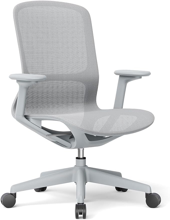 Ergonomic Mesh Office Chair with Lumbar Support, Multicolor Rolling Task Chair, Adjustable Computer Desk Seating for Home Office (Grey-Pro)